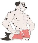  abs anthro briefs canid canine canis clothing dalmatian domestic_dog hi_res jrjresq male mammal muscular muscular_male smile solo spots spotted_body underwear white_body 