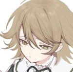  1boy bangs black_ribbon brown_eyes brown_hair closed_mouth danganronpa:_trigger_happy_havoc danganronpa_(series) fujisaki_chihiro grey_background liang_cun_rakuna lowres male_focus neck_ribbon portrait ribbon shiny shiny_hair short_hair simple_background solo 