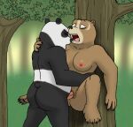  2022 4_toes 5_fingers against_natural_surface against_surface against_tree anthro anthro_on_anthro anthro_penetrated anthro_penetrating anthro_penetrating_anthro anus big_breasts black_body black_fur black_nose breasts brown_bear brown_body brown_fur butt carrying_partner claws digital_media_(artwork) dreamworks duo emperorstarscream eyes_closed fangs feet female female_penetrated finger_claws fingers forest fur genitals giant_panda hand_on_neck hindpaw humanoid_hands kung_fu_panda luthera_the_wandering_blade male male/female male_penetrating male_penetrating_female mammal master_po_ping multicolored_body multicolored_fur nature nipples nude open_mouth outside outside_sex pawpads paws penetration penile penile_penetration penis penis_in_pussy plant pussy sex spread_legs spreading stand_and_carry_position standing standing_sex teeth toe_claws toes tongue tree two_tone_body two_tone_fur ursid ursine vaginal vaginal_penetration white_body white_fur 