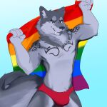  1:1 absurd_res anthro canid canine canis clothing foxzor hi_res lgbt_pride male male/male mammal pride_colors solo speedo swimwear wolf 