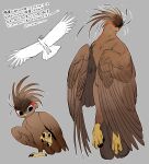  1other beak bird bird_wings black_eyes brown_feathers chibi chibi_inset feathers full_body grey_background highres multiple_views no_humans original parted_lips spread_wings standing standing_on_one_leg suzumori_521 talons wings 