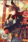  1boy animal_ears blush brown_hair cherrypin closed_mouth fox_boy fox_ears fox_tail gloves inari_(saibai_shounen) leaf looking_to_the_side male_focus official_art pink_eyes saibai_shounen scraf second-party_source short_hair solo tail 