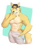  abs anthro backwards_baseball_cap backwards_hat baseball_cap blush bottomwear bulge canid canine canis clothing denim denim_clothing domestic_dog fur hat headgear headwear hi_res jeans jrjresq male mammal muscular muscular_male nipples pants pecs smile smirk solo yellow_body yellow_fur 