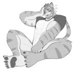  abs anthro awkward black_and_white clothing felid hi_res jrjresq male mammal monochrome muscular muscular_male pantherine pawpads pulling_shirt smile solo tiger translucent translucent_clothing translucent_topwear 