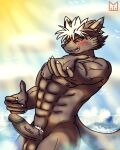  abs animal_humanoid anthro balls beach blush canid canid_humanoid canine canis claws digital_drawing_(artwork) digital_media_(artwork) domestic_dog erection furryart genitals hi_res humanoid humanoid_hands kemono lifewonders looking_at_viewer male mammal mammal_humanoid muscular muscular_anthro muscular_male nipples nude penis red_panda_mirr seaside solo tadatomo 