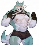  2022 abs anthro biceps blue_body blue_fur blush bodily_fluids bottomwear brand_new_animal bulge canid canine canis clothed clothing collar fangs fur gloves grey_eyes handwear harness hotpants male mammal multicolored_body multicolored_fur muscular muscular_anthro muscular_male nipples o_reowoof open_mouth pecs pinup portrait pose quads sharp_teeth shirou_ogami shorts simple_background solo standing straps studio_trigger sweat teeth three-quarter_portrait triceps two_tone_body two_tone_fur white_background white_body white_fur wolf 