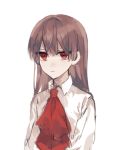  1boy ascot brown_hair chinese_commentary closed_mouth collared_shirt commentary_request ib ib_(ib) long_hair long_sleeves red_ascot red_eyes shirt simple_background solo upper_body white_background white_shirt zibuxiu 