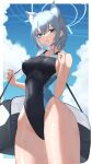  1girl absurdres animal_ears blue_archive breasts competition_swimsuit from_below hai_maker highres looking_at_viewer one-piece_swimsuit shiroko_(blue_archive) shiroko_(swimsuit)_(blue_archive) sky solo swimsuit 