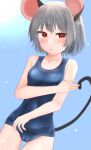  1girl alternate_costume animal_ears bangs blue_swimsuit blush breasts commentary_request cowboy_shot dakuazu dutch_angle grey_hair highres looking_at_viewer mouse_ears mouse_girl mouse_tail nazrin one-piece_swimsuit open_mouth red_eyes short_hair small_breasts solo swimsuit tail touhou 