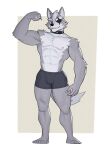  abs abstract_background anthro biceps big_muscles black_clothing black_underwear canid canine canis clothing collar eye_patch eyewear flexing fur grey_body grey_fur hi_res jrjresq looking_at_viewer male mammal muscular muscular_anthro muscular_male nintendo smile solo star_fox underwear video_games wolf wolf_o&#039;donnell 