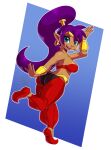  anthro blue_eyes breasts caramel-kitteh clothed clothing female genie green_eyes hair humanoid_pointy_ears looking_at_viewer purple_hair shantae shantae_(series) solo video_games wayforward 