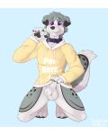  4:5 animal_genitalia anthro balls blush border_collie bottomless bottomless_male canid canine canis cashmere_(cashmerix) cheek_tuft claws clothed clothing collar collie domestic_dog facial_tuft floppy_ears fully_sheathed fur genitals grey_body grey_fur herding_dog hi_res hoodie hoodie_only kneeling letterbox looking_at_viewer male mammal multicolored_body multicolored_fur pastoral_dog paws presenting presenting_balls presenting_sheath purple_eyes sheath sheepdog smile solo spots spread_legs spreading taintedstar teeth text text_on_clothing text_on_hoodie text_on_topwear toe_claws topwear topwear_only tuft white_balls white_body white_fur white_sheath 