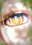  1girl absurdres ceres_fauna close-up eye_focus eye_reflection eyelashes green_hair hair_between_eyes highres hololive hololive_english looking_at_viewer mole mole_under_eye reflection solo user_gdfe7344 virtual_youtuber yellow_eyes 