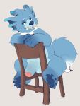  anthro blue_body blue_eyes chair cheek_tuft facial_tuft flaccid fluffy fluffy_tail foreskin furniture genitals hi_res hybrid looking_at_viewer male neck_tuft paws penis seth-iova simple_background sitting solo tuft 