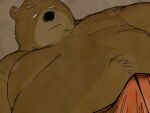  2022 4:3 anthro belly big_belly black_nose bodily_fluids brown_body brown_fur bulge clothing fur hi_res kemono male mammal moobs nipples overweight overweight_male pommn_mn solo sweat underwear ursid 