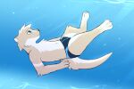 adrian_(snowstormbat) clothing hi_res lutrine mammal mustelid snowstormbat speedo swimming swimwear underwater water 