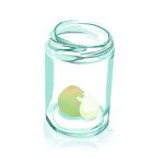  animal bear chai_(drawingchisanne) commentary_request container food fruit glass jar no_humans original plum polar_bear signature undersized_animal white_background 