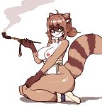  2022 anthro areola big_breasts big_butt breasts butt female fluffy fluffy_tail fur green_eyes hair hi_res mammal nipples pipe procyonid raccoon reccand simple_background smile smoke smoking smoking_pipe solo thick_thighs wide_hips 