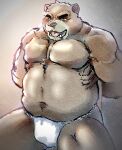  2022 anthro asian_clothing belly black_nose blush brown_body clothing east_asian_clothing fundoshi hi_res japanese_clothing juuichi_mikazuki kakukaku kemono male mammal morenatsu musclegut navel overweight overweight_male sitting solo underwear ursid video_games visual_novel white_clothing white_fundoshi white_underwear 