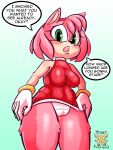  2022 amy_rose anthro blush breasts camel_toe clothing dialogue digital_media_(artwork) dress english_text eulipotyphlan female fur gloves green_eyes handwear hedgehog looking_at_viewer low-angle_view mammal open_mouth pink_body pink_fur red_clothing red_dress sega simple_background solo sonic_the_hedgehog_(series) text tonythetiger16 underwear white_background white_clothing white_gloves white_handwear white_underwear 