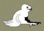 accipitrid accipitriform ambiguous_gender avian avian_feet beak bird claws dewclaw eagle feathered_wings feathers feral iliothermia short-toed_snake_eagle side_view sitting snake_eagle solo toe_claws white_body wings