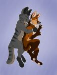 2018 absurd_res akamai_(maligaytor) anthro black_claws black_nose black_pawpads blue_background brown_body brown_fur canid canine canis cheek_tuft claws crotch_tuft cuddling digital_drawing_(artwork) digital_media_(artwork) digitigrade domestic_dog duo embrace eyes_closed eze_(ezekeil42) facial_tuft fangs featureless_crotch fist flat_colors fluffy_chest full-length_portrait fur grey_body grey_claws grey_fur grey_hair hair hi_res hindpaw husky hybrid jackal male male/male maligaytor mammal maned_wolf markings nordic_sled_dog nude outline pawpads paws pink_pawpads portrait romantic romantic_couple simple_background sleeping snout spitz spooning striped_markings striped_tail stripes tail tail_markings tan_body tan_fur teeth tuft white_outline