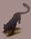 felid feral hi_res jaguar mammal melodyofforest pantherine quadruped whiskers