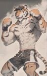 abs anthro biceps bottomwear clothed clothing digital_media_(artwork) felid flexing flexing_both_biceps fur hi_res looking_at_viewer male mammal muscular muscular_anthro muscular_male pantherine pants pecs shirtless shirtless_anthro shirtless_male simple_background solo tail talonfire99 tiger topless topless_anthro topless_male