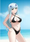  19956802168 1girl absurdres alternate_costume bangs bare_shoulders bikini black_bikini black_swimsuit blurry blurry_background breasts chinese_commentary cleavage closed_mouth collarbone feet_out_of_frame girls&#039;_frontline green_eyes hair_ornament hairclip hand_on_hip highres hk416_(girls&#039;_frontline) light_blue_hair light_blush long_hair looking_at_viewer medium_breasts navel smile solo standing stomach swimsuit teardrop_facial_mark teardrop_tattoo thighs 