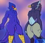 anthro avian beak bird blep blue_body blue_feathers braided_hair breath_of_the_wild crossover duo falco_lombardi feathers flaccid front_view genitals hair hi_res humanoid_genitalia humanoid_penis male nintendo notsafeforwank nude penis revali rito scuted_legs scutes standing star_fox tail tail_feathers the_legend_of_zelda thick_thighs tongue tongue_out