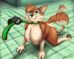  absurd_res anthro areola big_breasts breasts collar crossgender duo female hi_res mutt_(wagnermutt) nipples silverray17 solo 