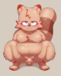  absurd_res anthro balls bedroom_eyes big_tail blush bodily_fluids chubby_anthro crouching dg_(pongodecky) genital_fluids genitals hands_on_legs hi_res male mammal moobs narrowed_eyes penis precum procyonid pururing raccoon seductive solo 