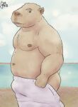  anthro bulge butt capybara caviid half_naked hi_res male mammal muscular muscular_male ordinarysstar outside overweight overweight_anthro overweight_male rodent solo towel water 
