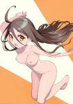  1girl breasts brown_eyes brown_hair commentary_request completely_nude floating_hair full_body hair_between_eyes highres lolicom long_hair looking_at_viewer medium_breasts nude open_mouth original partial_commentary smile solo two-tone_background 