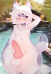 . anthro canid canine canis collar domestic_dog girly hi_res hot_spring knot lgbt_pride male mammal nipple_piercing nipples piercing pride_colors richa_picha richard_picher solo thick_thighs tsundere water wet wet_body