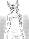  1girl animal_ears breasts clothes_lift cowboy_shot double_daggers greyscale highres league_of_legends long_hair monochrome mouth_hold multicolored_hair nipples panties panty_pull pussy shirt_lift short_sleeves small_breasts solo two-tone_hair underwear xayah 