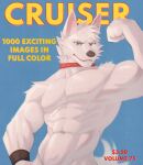  abs anthro canid collar collar_only cover english_text flexing fur hi_res jrjresq looking_at_viewer magazine_cover male mammal muscular muscular_anthro muscular_male nude red_collar solo text vintage white_body white_fur 