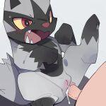 1:1 absurd_res anal anal_penetration anus bestiality blush bodily_fluids cum cum_from_ass cum_in_ass cum_inside duo female feral generation_3_pokemon genital_fluids genitals hi_res human human_on_feral interspecies lying male mammal nintendo on_back open_mouth pawpads paws penetration penis pokemon pokemon_(species) pokephilia poochyena pussy shocked shocked_expression spread_legs spreading sweat sweatdrop teeth tongue youjomodoki