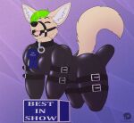 1st_place absurd_res all_fours anthro arms_tied bitchsuit bondage_gear bound canid canine collar female fennec fetishbruary fox gag hi_res latex legs_tied mammal ribbons ring_gag rubber_suit solo straps thatblackfox_(artist)