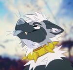  blep blurred_background canid cheek_tuft collar ears_back facial_tuft fangs fur grey_body grey_ears grey_fur grey_inner_ear grey_nose grey_tongue inner_ear_fluff looking_up male mammal narrowed_eyes neck_tuft pivoted_ears princelykaden side_view solo spiked_collar spikes tan_fangs tan_teeth tongue tongue_out tuft white_body white_fur white_inner_ear_fluff yellow_collar yellow_spikes 