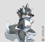absurd_res canid canine canis female genitals hi_res mammal pussy solo wolf yinglizi_(artist)