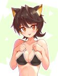  1girl :p adjusting_clothes adjusting_swimsuit animal_ears bikini black_bikini black_hair breasts cat_ears cat_girl closed_mouth commentary cougar_(cougar1404) kua_(cougar1404) large_breasts looking_at_viewer multicolored_hair orange_eyes orange_hair original short_hair smile solo swimsuit symbol-only_commentary tongue tongue_out upper_body 
