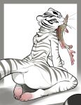  2022 absurd_res anthro butt digital_media_(artwork) dreamworks facial_markings feet felid female fish fish_in_mouth fur head_markings hi_res kneeling kung_fu_panda looking_back mammal marine markings master_tigress mouth_hold neck_tuft nude pantherine pink_feet rear_view simple_background solo striped_body striped_fur striped_markings striped_tail stripes tail_markings tiger tsampikos tuft whiskers 