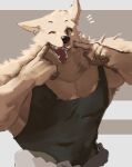 absurd_res anthro canid clothing ear_piercing fur hi_res male mammal muscular muscular_anthro muscular_male pecs piercing shirt solo sozoronabi tank_top topwear white_body white_fur