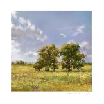  blue_sky cloud cloudy_sky flower forest grass grasslands horizon mimoth nature no_humans original scenery sky tall_grass tree 