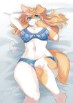  big_breasts breasts canid canine canis clothed clothing domestic_dog female feral fur hair hi_res lemoco lingerie looking_at_viewer mammal simple_background solo 