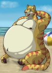 absurd_res anthro ball beach beach_ball belly felid fluffy hi_res inflatable male mammal markings moobs overweight pantherine pumex sand sea semi-anthro sky solo striped_markings stripes tiger water wave