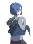  1girl :| adjusting_strap bag black_skirt blue_bag blue_hair blush breath closed_mouth collared_shirt creature darling_in_the_franxx dress_shirt duffel_bag expressionless from_behind green_eyes grey_hoodie hair_over_one_eye hands_up highres holding holding_bag holding_creature hood hood_down hoodie ichigo_(darling_in_the_franxx) kross_(kira89757) kyoryuu long_sleeves looking_at_viewer looking_back nose_blush pleated_skirt school_bag school_uniform shirt short_hair simple_background skirt sleeves_past_wrists solo white_background white_shirt 