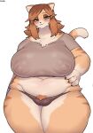 anthro biped blush breasts clothed clothing domestic_cat felid feline felis female heterochromia hi_res looking_at_viewer mammal nipple_outline simple_background slightly_chubby solo sususuigi white_background