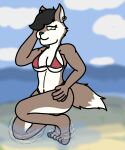anthro beach bikini canid canine canis clothing dank-artistic-fox female hi_res mammal sea solo swimwear water wolf